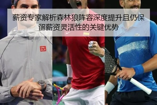 薪资专家解析森林狼阵容深度提升且仍保留薪资灵活性的关键优势 | Leyu